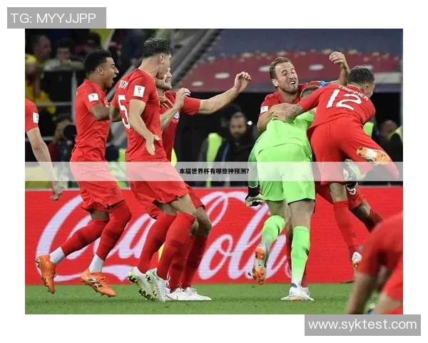 成都羽毛球队在世界杯中的战术表现分析与点评