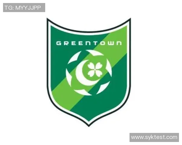 杭州足球队引领最新足球意识TOP10榜单全面解析